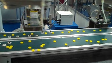 Toshiba Picker/Sorter Robot at iRex 2009 (HD)