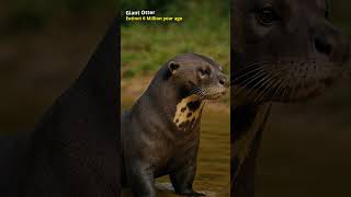 Extinct Creatures Brought Back to Life using AI : Giant Otter