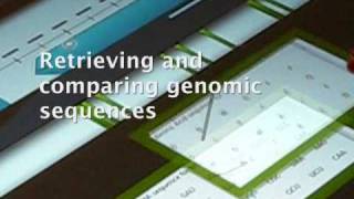 G-nome Surfer: a tabletop interface for collaborative exploration of genomic data