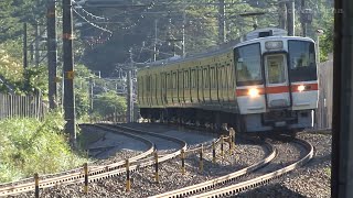 中央西線 洗馬~贄川 383系しなの、313系+311系ナイスホリディ【2007年】