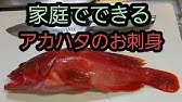 アカハタのさばき方と刺身の作り方 湯霜造り 焼き霜造り Youtube