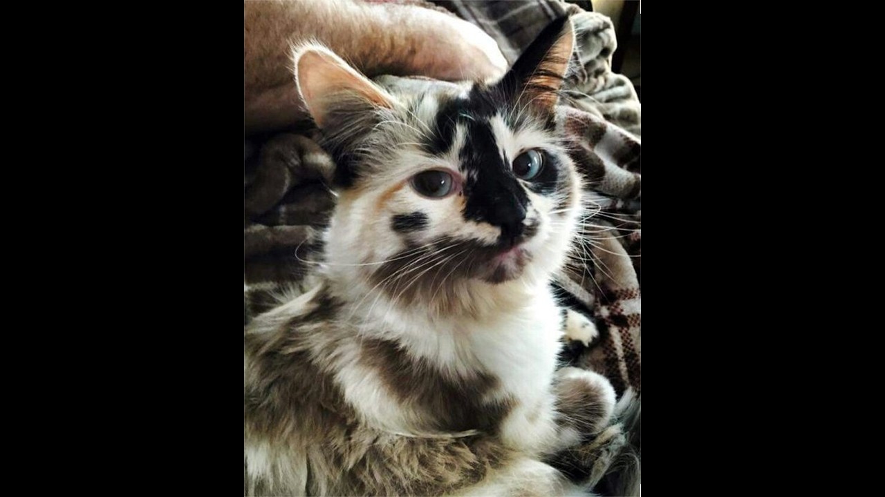 бубнеж под фарм на бк