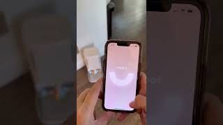 How I Feed My Cats When Im Not Home Meoof Automatic Pet Feeder In Action