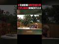 Ranking Watermelon Exploding you might see #ranking #shorts