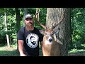 How to cape a deer for a shoulder mount. /Monster Buck/ by The Bearded Butchers