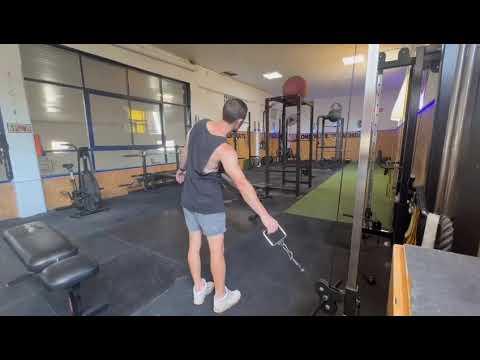 Crunch Lateral en Polea