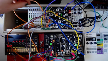 [Modular Improv Session][Generative Music] Bird Noises & Bass