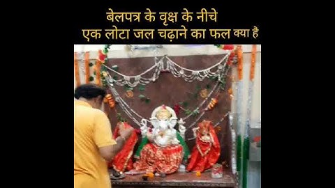 #बेलपत्र के वृक्ष के नीचे एक #लोटा #जल चढ़ने का महत्त्व||pandit #pradeep mishra #ytshorts #upay