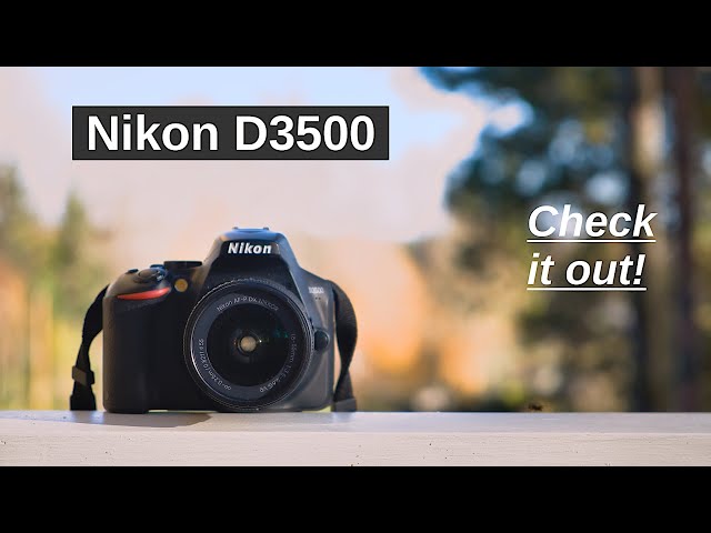 Nikon D3500 – an excellent option to consider in 2022 