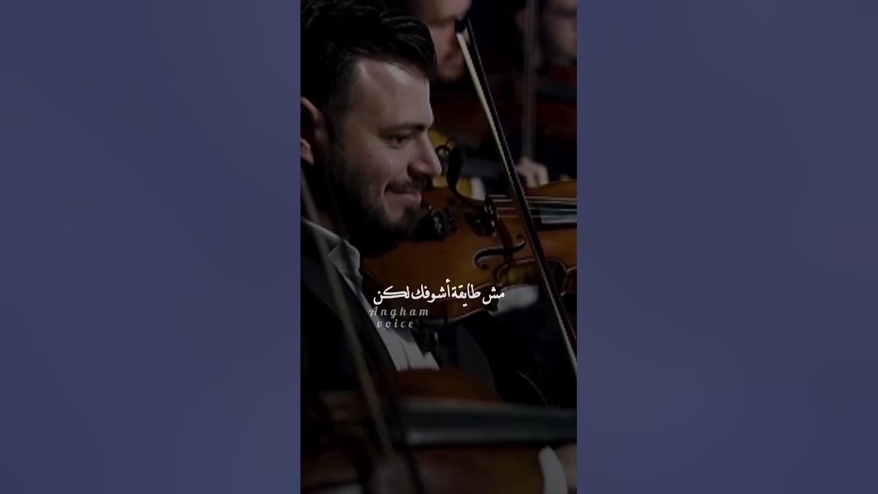 ايوة بحبك اوي بس مش عايزاك !🤷‍♀️