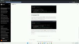 python file write function