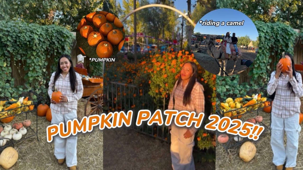 A day at the pumpkin patch! - YouTube