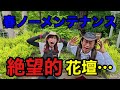 【台風後の悲劇】作ってる花壇が悲惨な状態になってしまった。。。　　　　　　【園芸超人カーメン君】【東海テレビスイッチ！】【速水アナ】