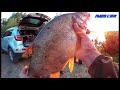 Рыбалка на ДЖИГ с берега! Надо так просечь ХВОСТ!