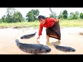 woman catch big fish for dog food -Burn fish in clay for dinner -cooking in forest HD