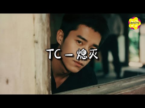 TC - 熄灭『你总问在一起会不会感到厌倦，我说会一定是我离开世界那天。』【动态歌词MV】