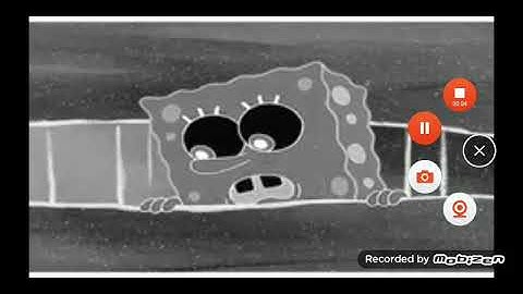 Patrick yells reversed