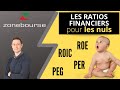 Les ratios financiers pour les nuls la rentabilit