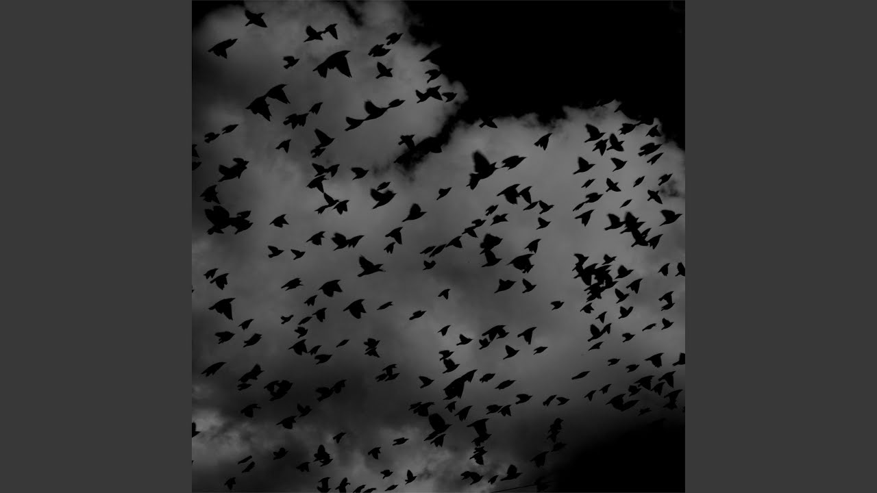 Noir Espace - YouTube