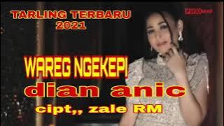 WAREG NGEKEPI ( karaoke ) voc,, dian anic