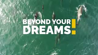 Euromind Portugal - Bom dia Setubal!