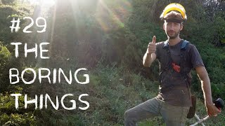 #29 The boring things we have to do + Regional Map!
