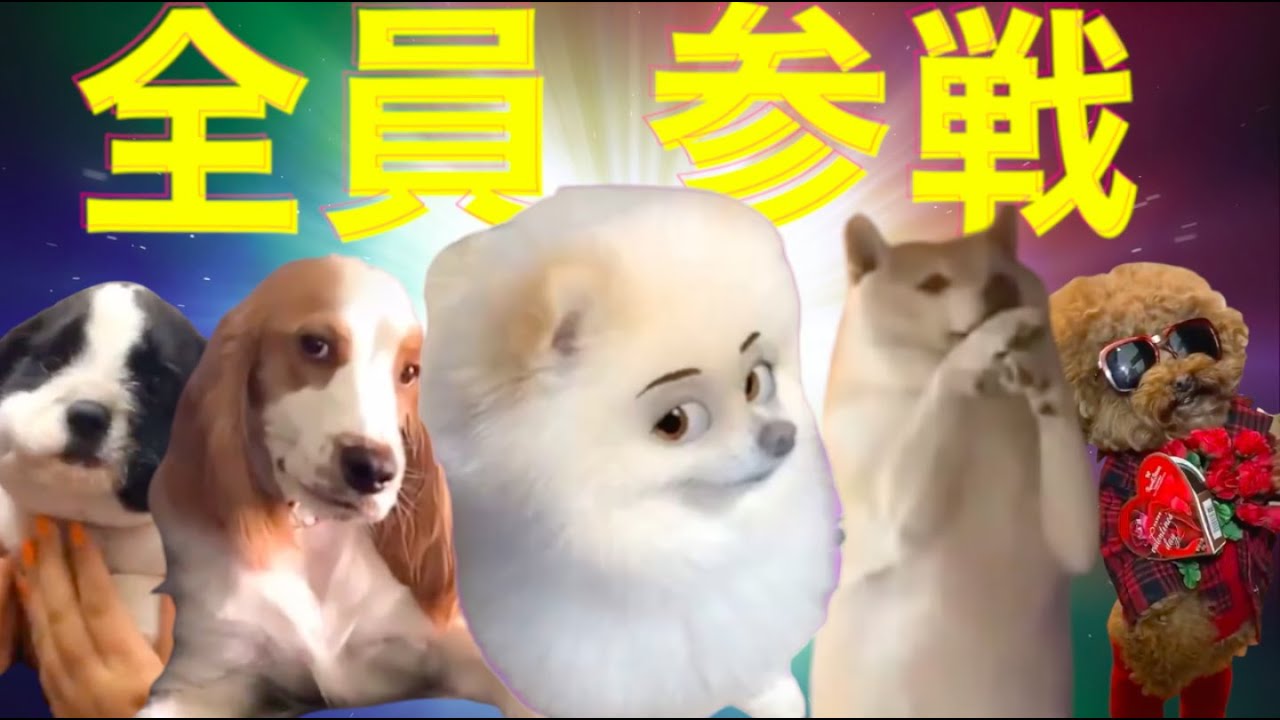 【30分耐久】一気に見たい方向け！爆笑イッヌ全員参戦30分総集編＃2