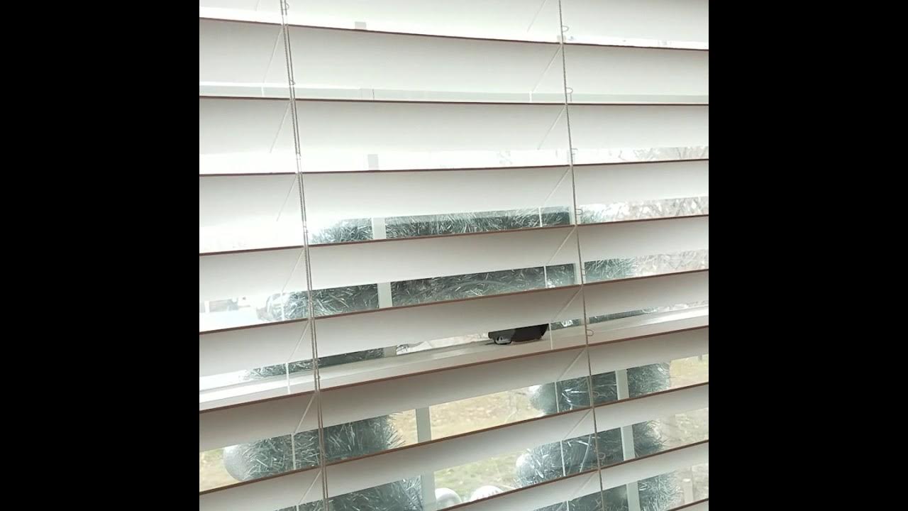 2 1/2" (Levolor) Cordless Blind **demo and review** YouTube