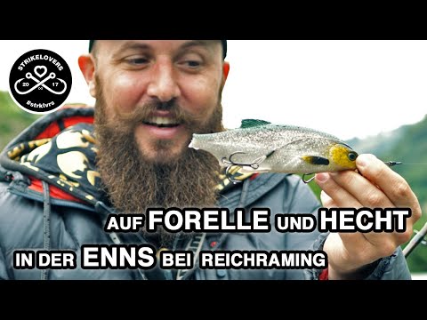 Video: Forellen- Und Spinatkörbe