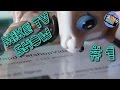 Littlest pet shop mike tv show episode 1 new studio pilot