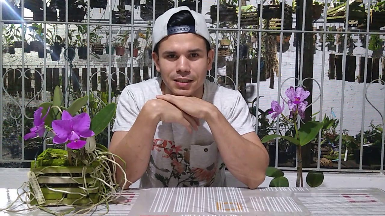 Como comecei na Orquidofilía. CULTIVO de ORQUÍDEAS Parte 1