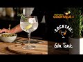 Cocktail gin  comment faire un gin tonic 