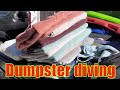 Dumpster Diving/🔥me en contre muchas cosas bonitas/🔥Contenedores de basura en espanol.