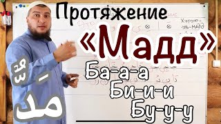 Урок № 4: "Мадд" ( ّمَد ) - "Протяжение Гласных" (харакатов) screenshot 5