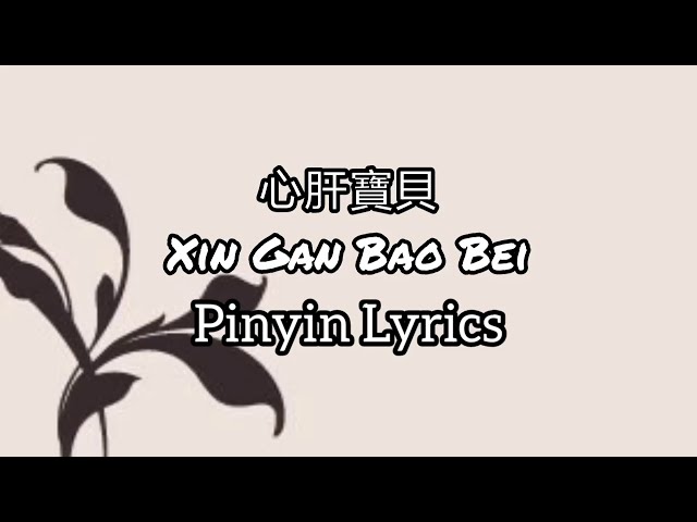任賢齊 Richie Ren - 心肝寶貝 Xin Gan Bao Bei | Người Yêu [Pinyin Lyrics] class=