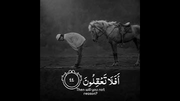 قارئ عبدالرحمن مسعد أجمل حالات واتس اب دينية سورة البقرة اتأمرون الناس بالبر..🌿🖤