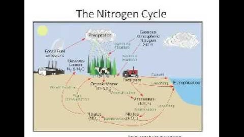 Ecology Basics for Landscapers and Designers Part 2 of 2
