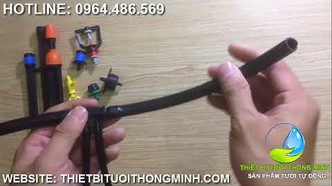 Hướng dẫn lắp Tê 10ly chia 2 đầu 6ly gắn béc trong mô hình tưới tự động