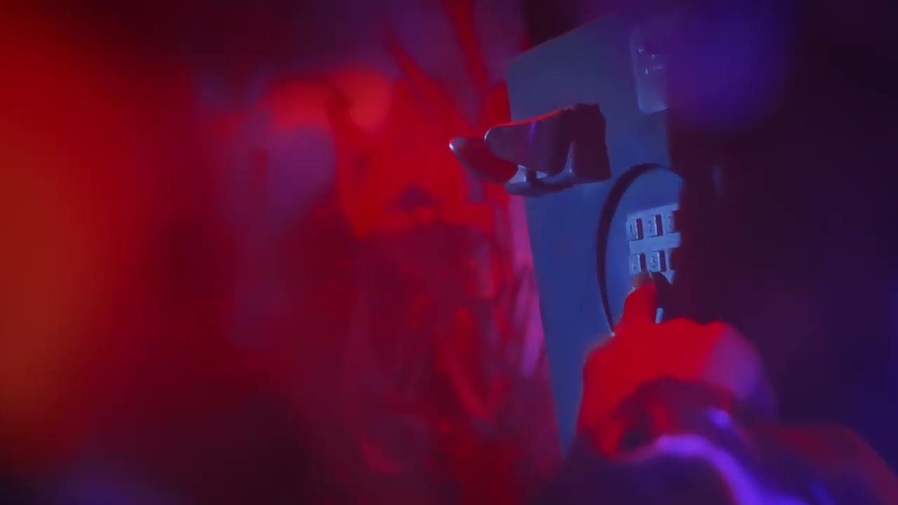 Lorem Ipsum | Yvngtown