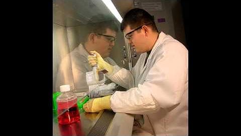 LanLabs - Outsourcing Cell Based Potency Assays