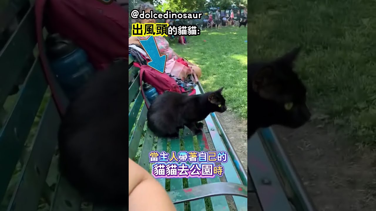 意想不到的勝利者