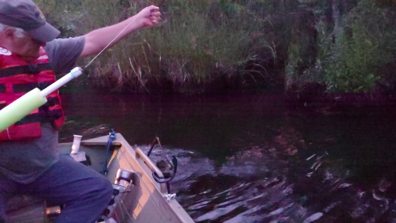 Wednesday fishing trip escatawpa River number 2 YouTube