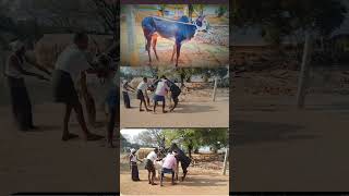 Nagaragere Hallikar