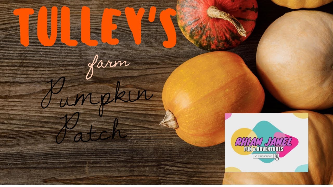 Pumpkin patch Tulley's Farm YouTube