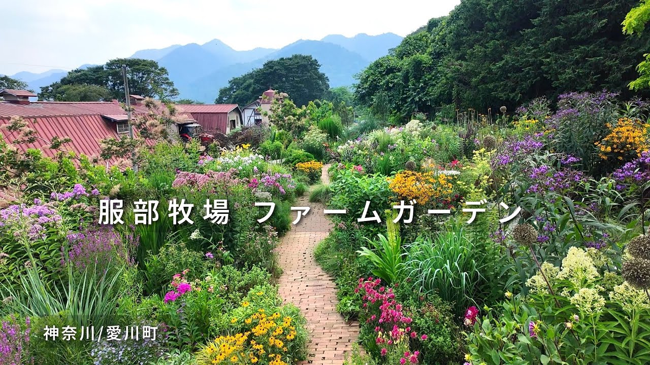 【牧場ガーデン】全方位､見応えありの宿根草ガーデン♪服部牧場 ファームガーデン