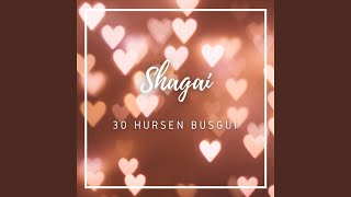 Video thumbnail of "Shagai - 30 Hursen Busgui"