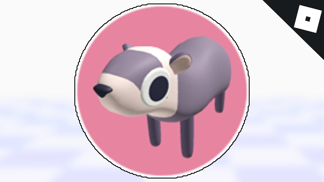 How to get the FERRET BADGE in FIND THE ANIMALS Roblox YouTube