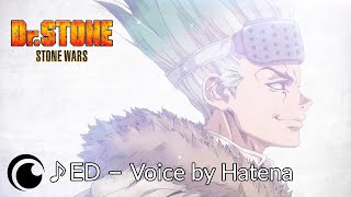 Dr. Stone S2 Ending / Доктор Стоун Сезон 2 Эндинг | Voice? (声?) By Hatena