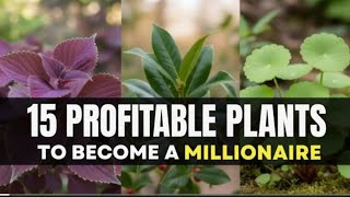 Top 15 Profitable Plants That Will Make You A Millionaire(That Nobody's growing)