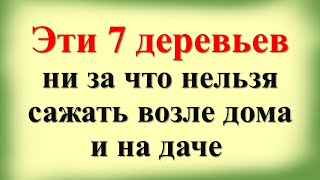 Вы ахнете! Эти 7 деревьев ни за что нельзя сажать возле дома и на даче